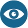Vision icon
